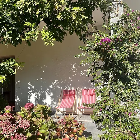 Casa Navegna * Minusio